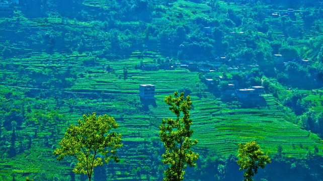 山村土地  农村 山地