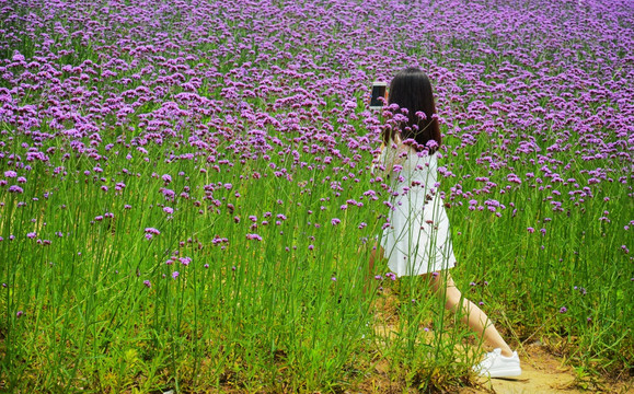 花海里自拍的女孩