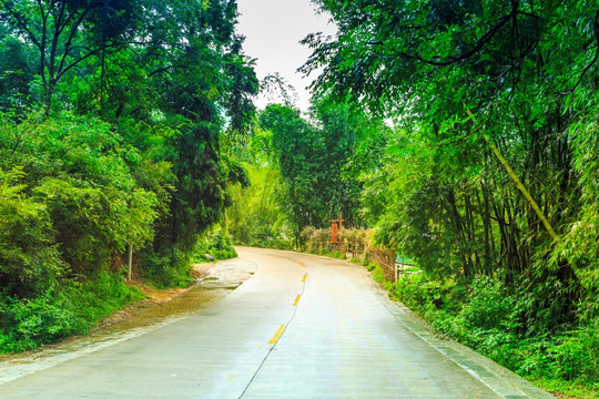 山中公路