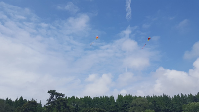 风筝 天空