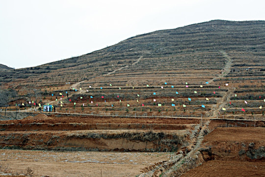 山区 彩旗飘飘