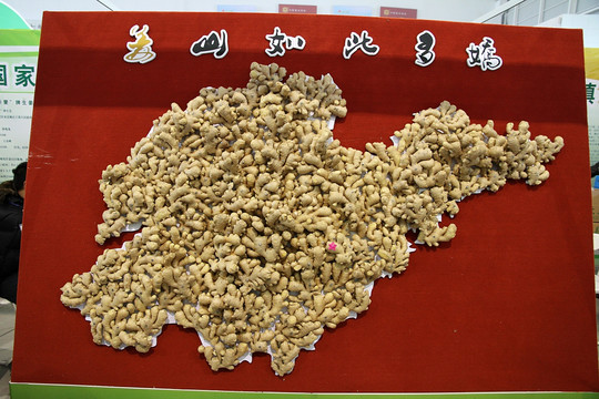 生姜 构图