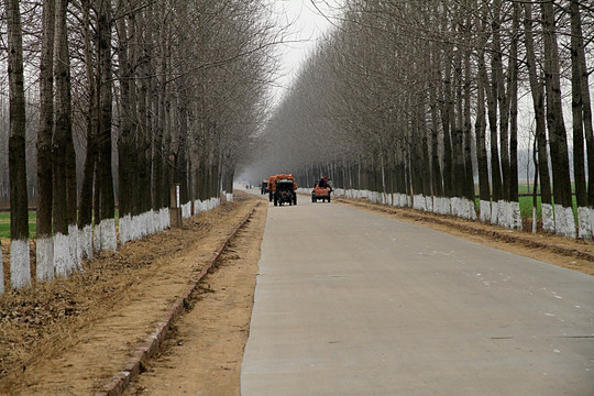 农村道路