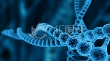 DNA生物链