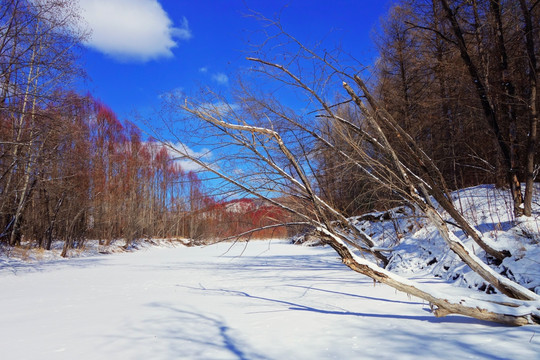 林海雪原冰河