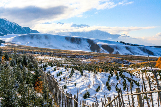 新疆天山山脉冬季牧场