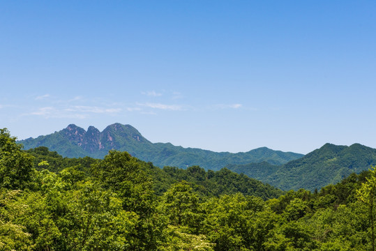 秦岭风光