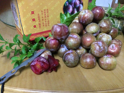 银妃三华李