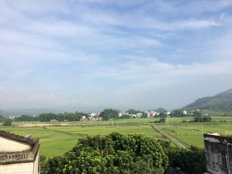 乡野