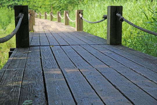 湿地木栈桥