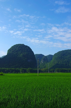 风景 田园风景