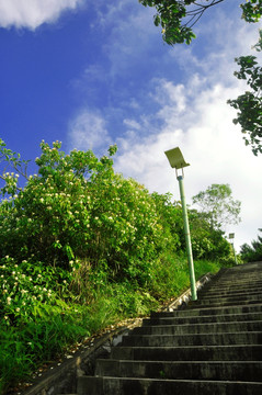 登山的台阶