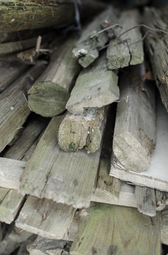 木材 木堆 木料