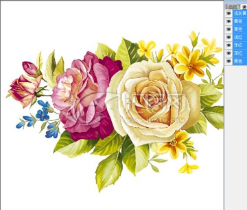 陶瓷花纸花卉分色玫瑰花朵设计