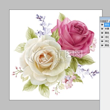 陶瓷花纸设计分色玫瑰花朵花卉