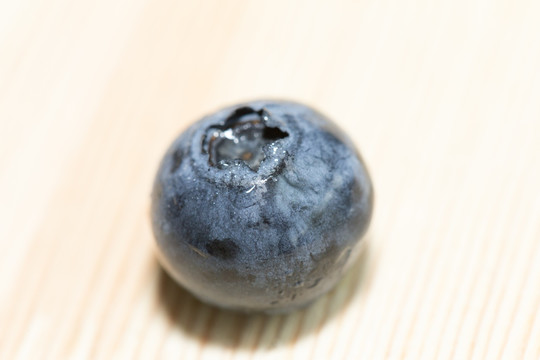 一颗高原蓝莓