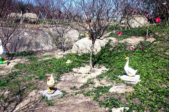 鸡鸭 雕塑 园林