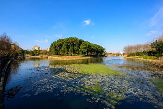 生态湿地