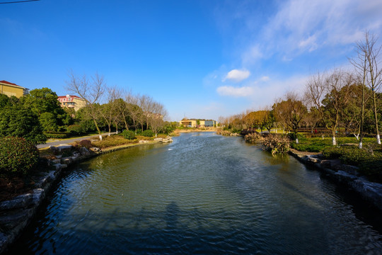 生态湿地