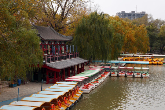 北京紫竹院公园