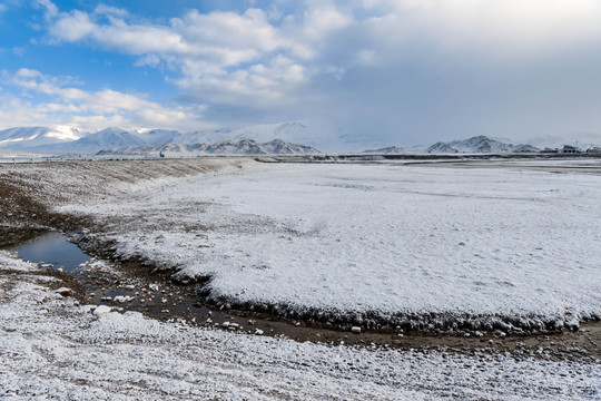 巴音布鲁克湿地