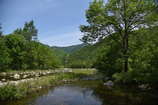 东北农村河流