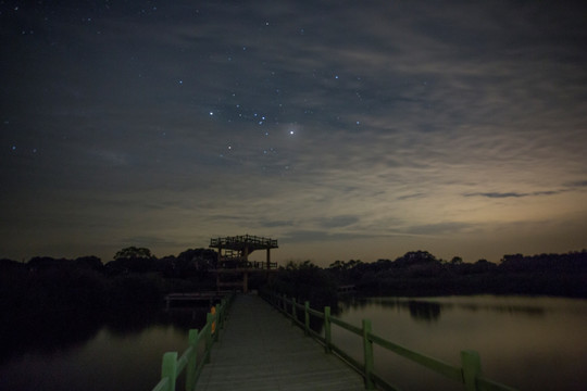 湿地星空栈道