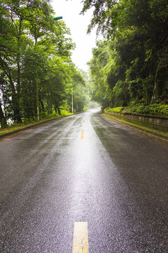 弯弯的山间柏油路