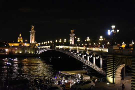夜色中的亚历山大三世桥
