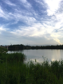 湿地公园
