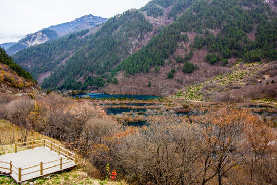 九寨沟树正沟