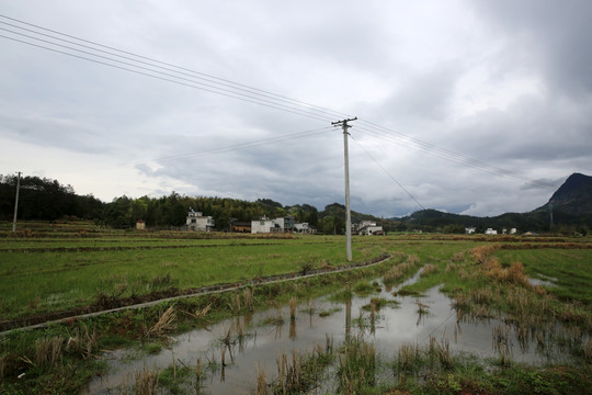 农田 田野 田园 风景 农村