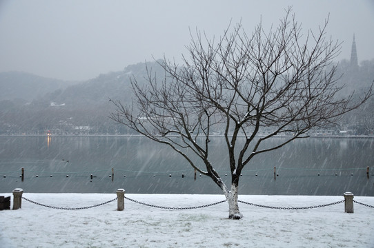 杭州西湖风光