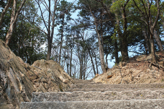 风景区 大山 山路 台阶摄影