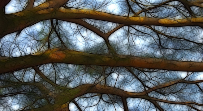 抽象树 抽象风景