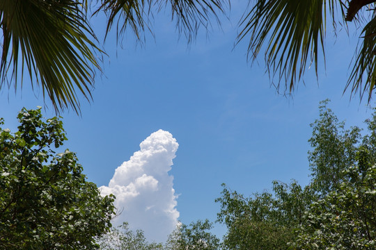 晴朗的天空