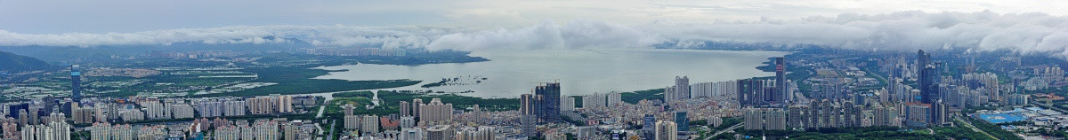 深圳湾 深圳全景