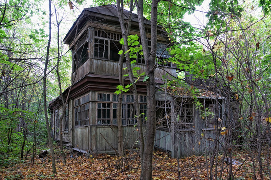 林中废弃木屋小屋
