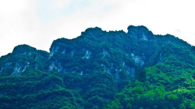 高山 青山