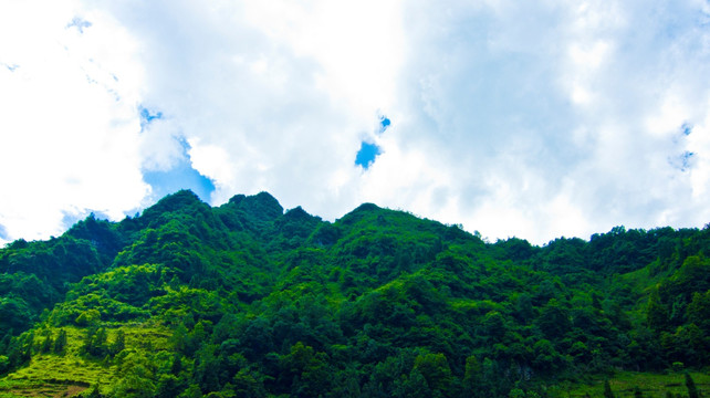 山野 青山