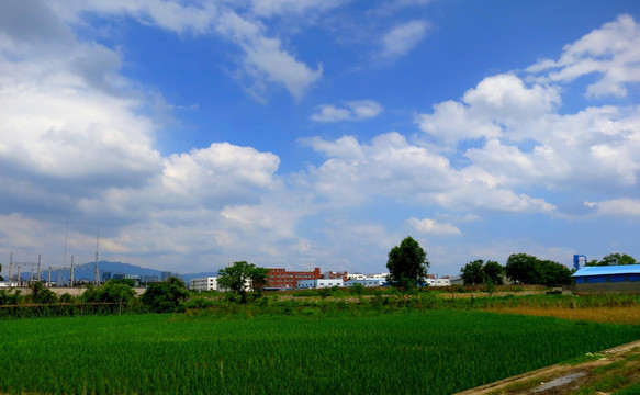 田园风光