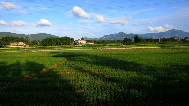 田园