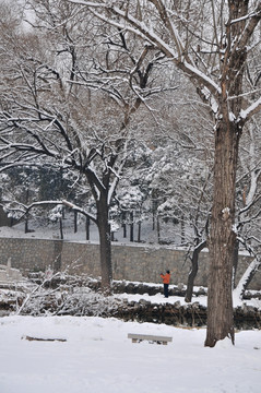 公园雪景