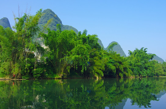 风景 绿竹