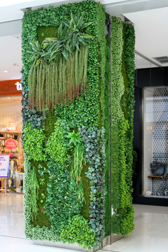 植物墙 绿叶背景 绿化墙 花纹