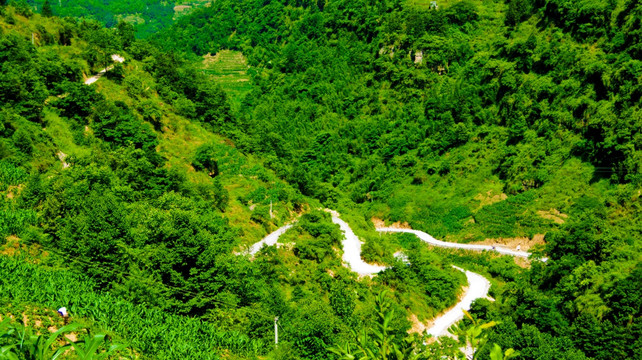 盘山公路 山里公路