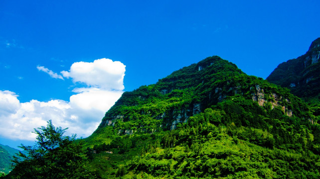 高耸的青山 大山