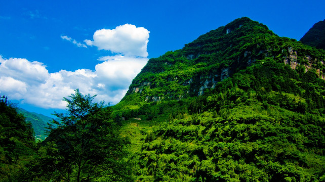 青山  大山 山野