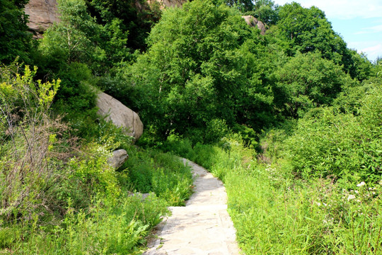 山间石路