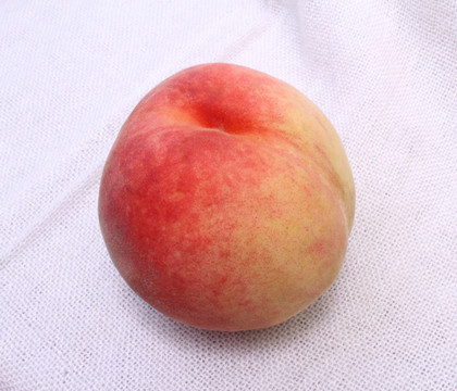 桃子